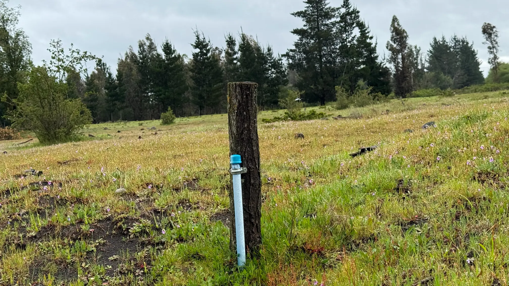 Arranque de agua en un lote de Hacienda Los Álamos