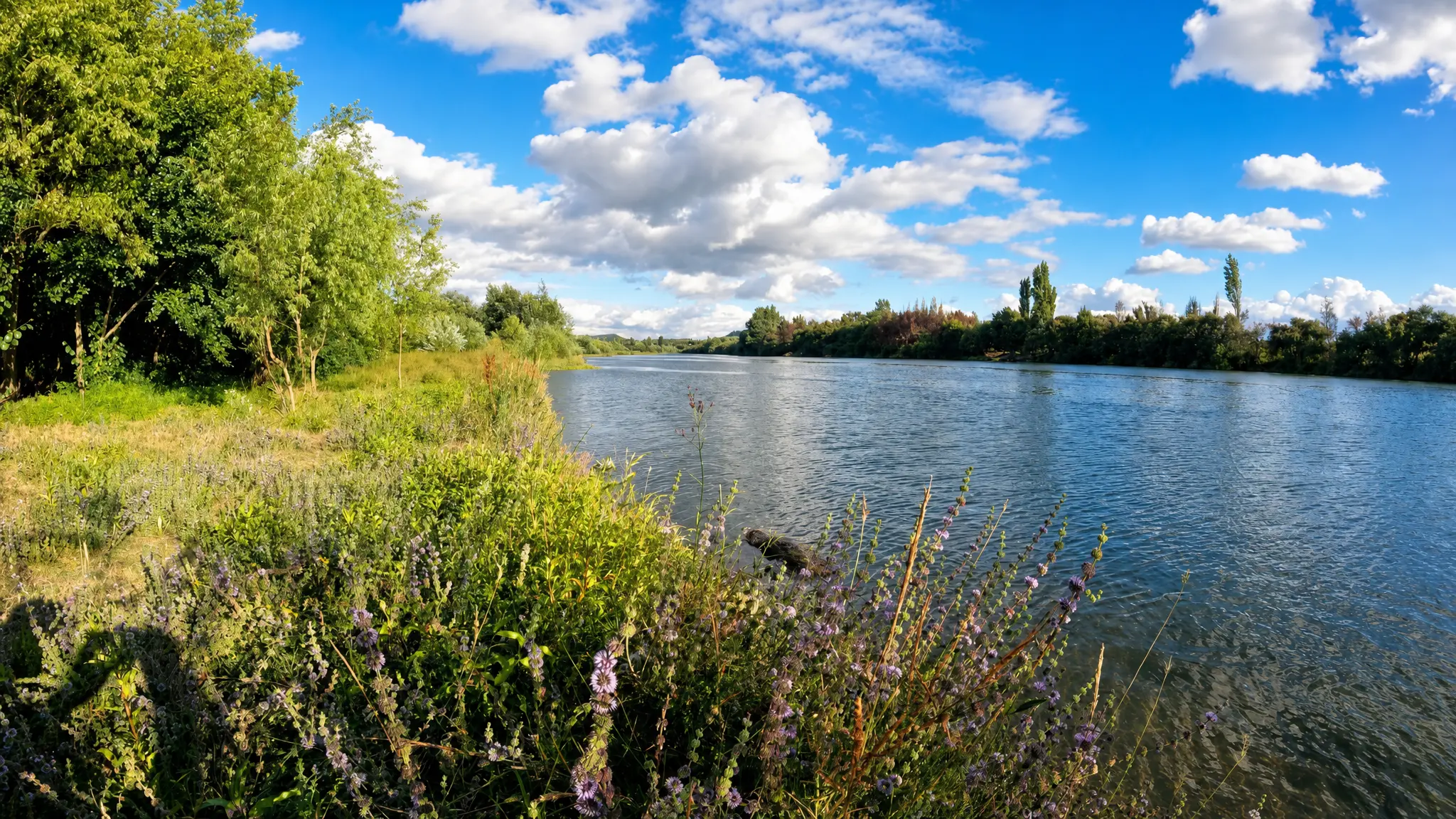 Río Biobío junto a Hacienda Los Álamos