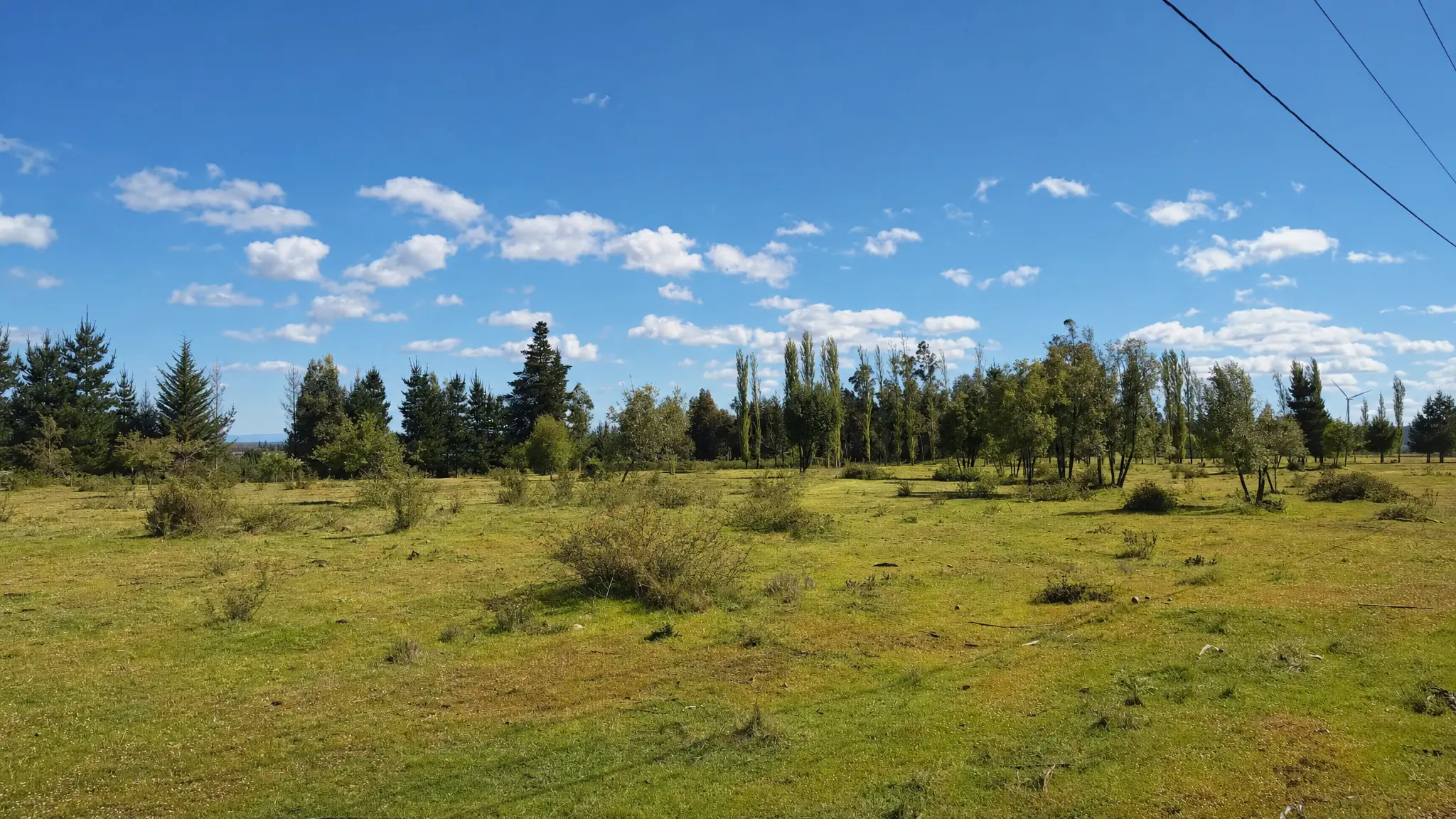 Terreno plano con vegetación dispersa en Hacienda Los Álamos